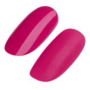 GEL POLISH #205